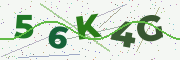 Security code image