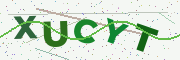 Security code image