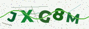 Security code image
