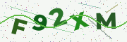Security code image