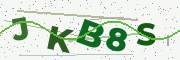 Güvenlik kodu resmi