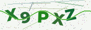 Security code image