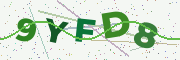 Security code image